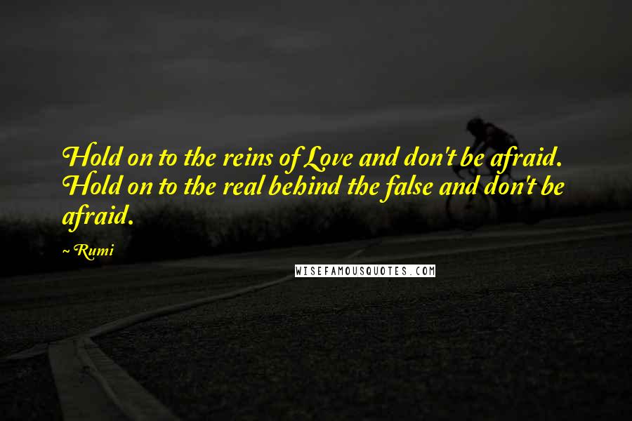 Rumi Quotes: Hold on to the reins of Love and don't be afraid. Hold on to the real behind the false and don't be afraid.