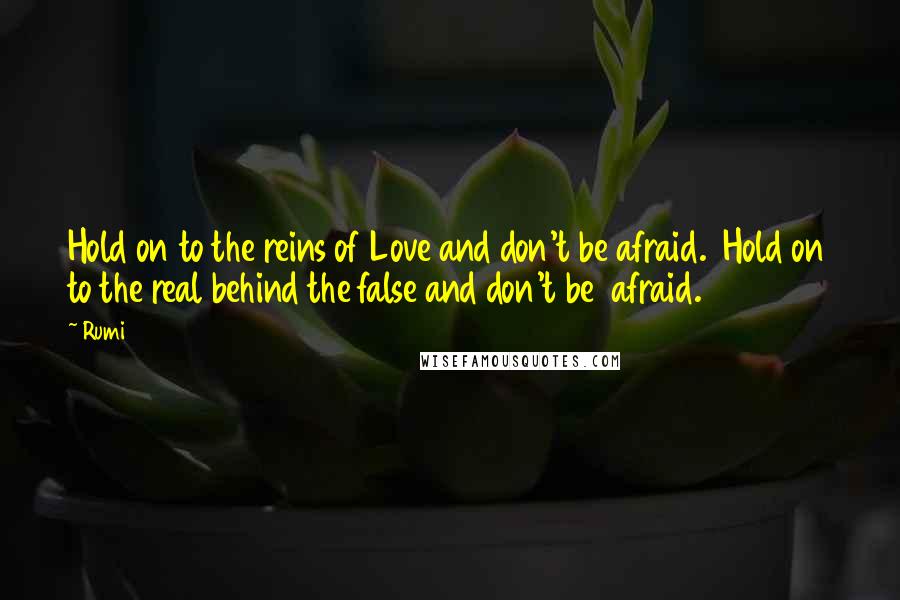 Rumi Quotes: Hold on to the reins of Love and don't be afraid. Hold on to the real behind the false and don't be afraid.