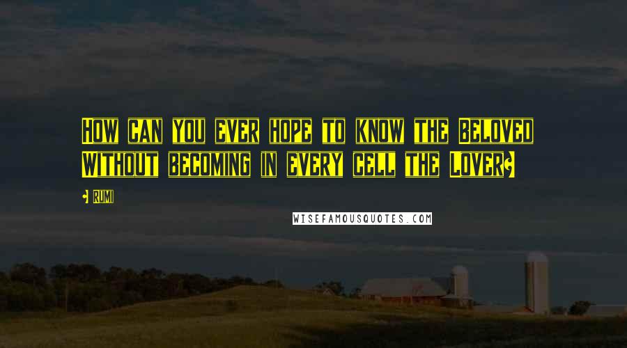 Rumi Quotes: How can you ever hope to know the Beloved  Without becoming in every cell the Lover?