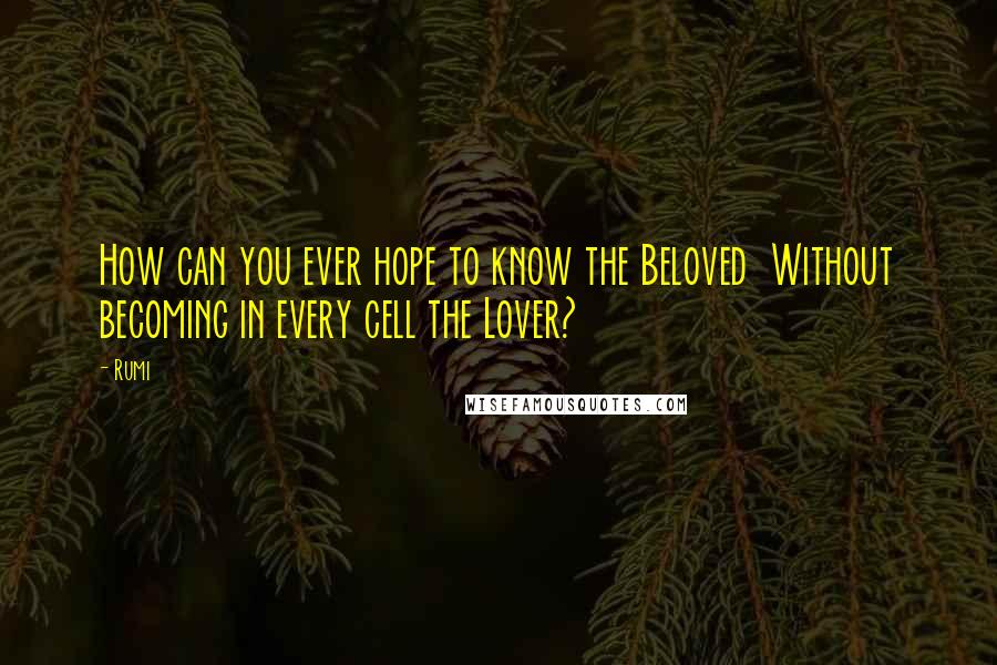 Rumi Quotes: How can you ever hope to know the Beloved  Without becoming in every cell the Lover?