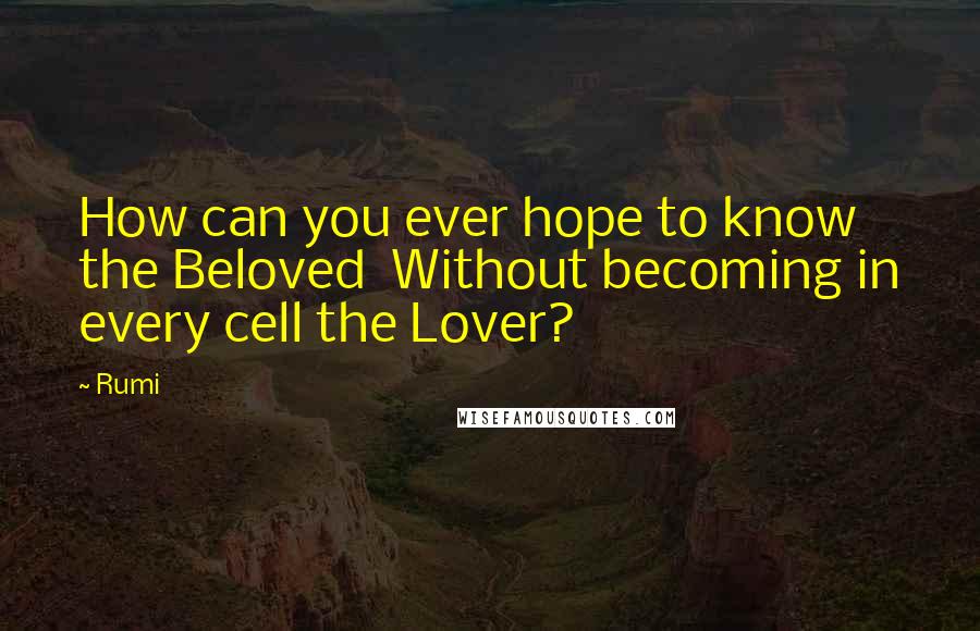 Rumi Quotes: How can you ever hope to know the Beloved Without becoming in every cell the Lover?