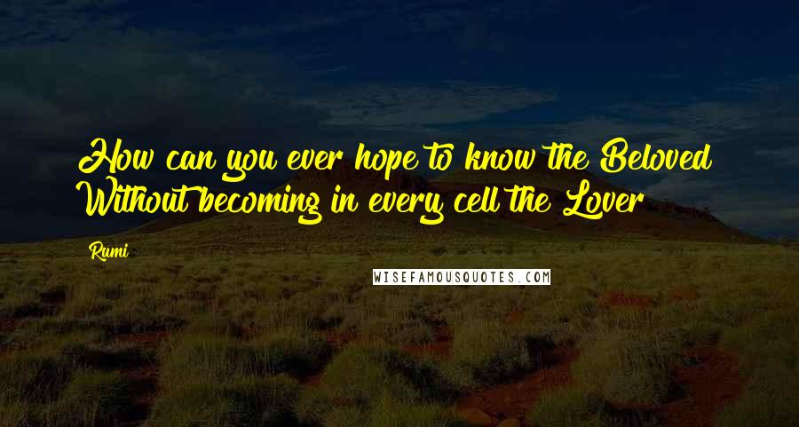 Rumi Quotes: How can you ever hope to know the Beloved Without becoming in every cell the Lover?