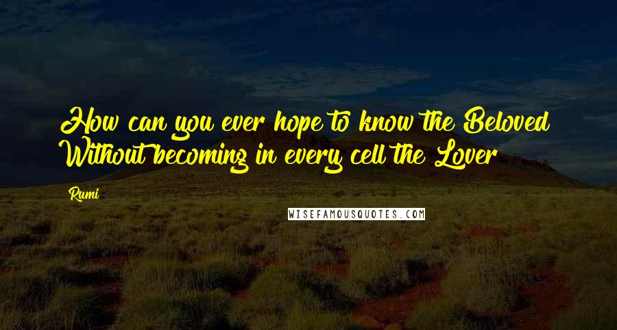 Rumi Quotes: How can you ever hope to know the Beloved  Without becoming in every cell the Lover?