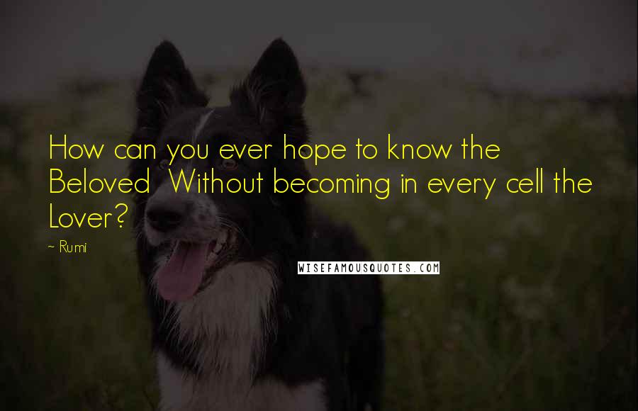 Rumi Quotes: How can you ever hope to know the Beloved Without becoming in every cell the Lover?