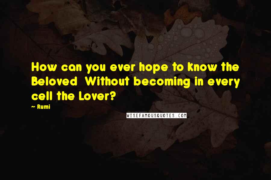 Rumi Quotes: How can you ever hope to know the Beloved Without becoming in every cell the Lover?