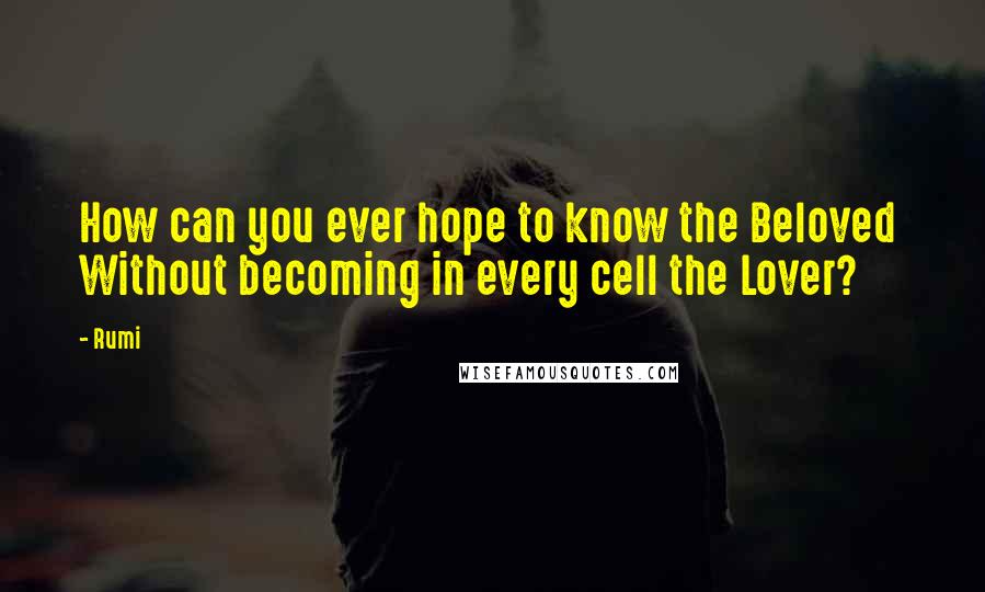 Rumi Quotes: How can you ever hope to know the Beloved Without becoming in every cell the Lover?