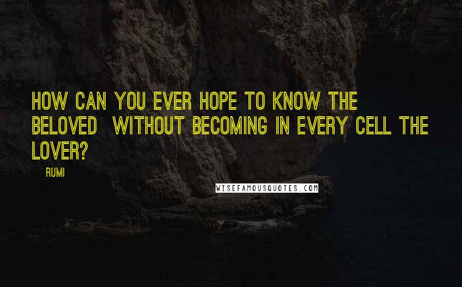Rumi Quotes: How can you ever hope to know the Beloved Without becoming in every cell the Lover?