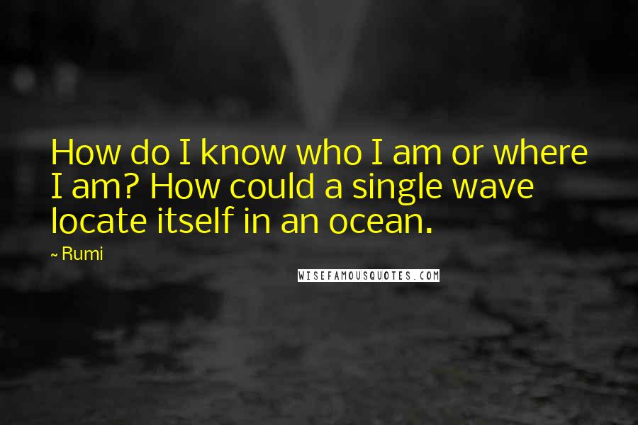 Rumi Quotes: How do I know who I am or where I am? How could a single wave locate itself in an ocean.