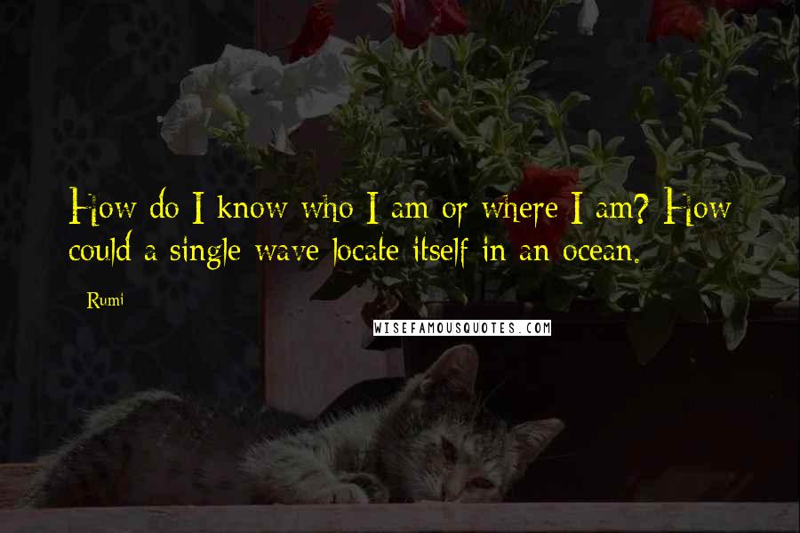 Rumi Quotes: How do I know who I am or where I am? How could a single wave locate itself in an ocean.