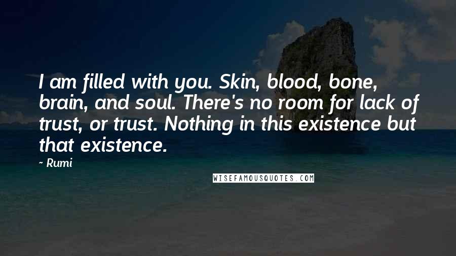 Rumi Quotes: I am filled with you. Skin, blood, bone, brain, and soul. There's no room for lack of trust, or trust. Nothing in this existence but that existence.