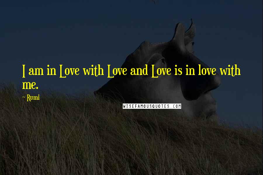 Rumi Quotes: I am in Love with Love and Love is in love with me.