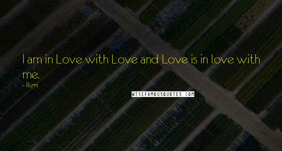 Rumi Quotes: I am in Love with Love and Love is in love with me.