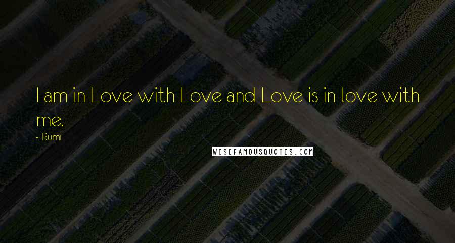 Rumi Quotes: I am in Love with Love and Love is in love with me.