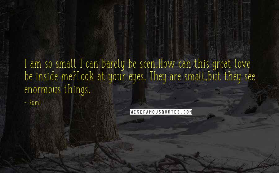 Rumi Quotes: I am so small I can barely be seen.How can this great love be inside me?Look at your eyes. They are small,but they see enormous things.