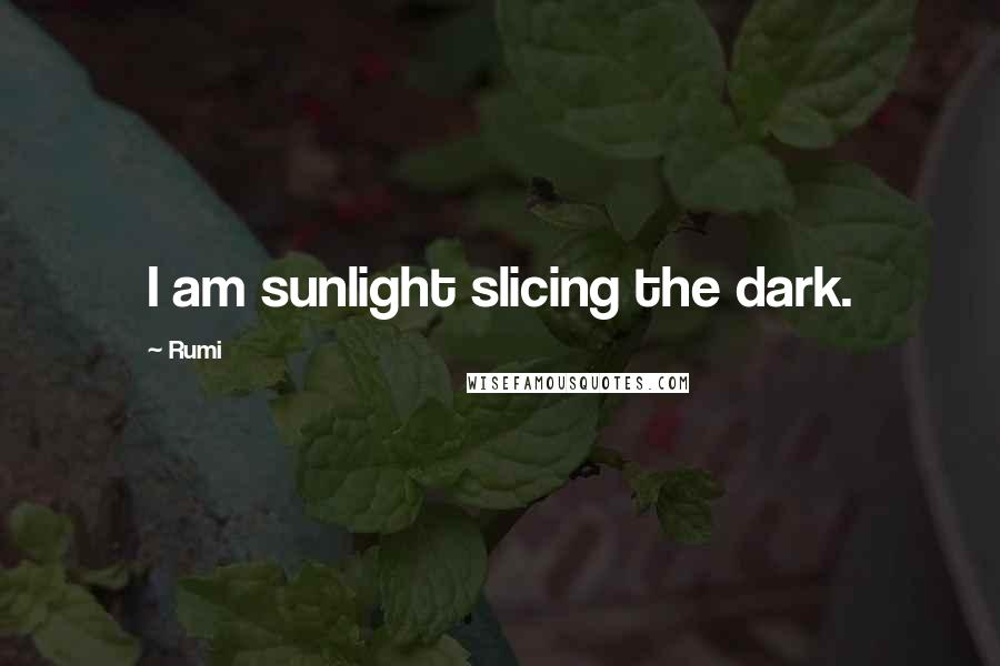 Rumi Quotes: I am sunlight slicing the dark.