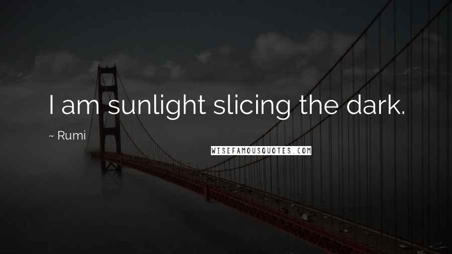 Rumi Quotes: I am sunlight slicing the dark.