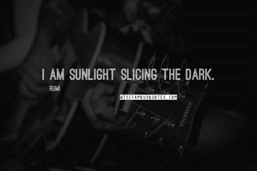 Rumi Quotes: I am sunlight slicing the dark.