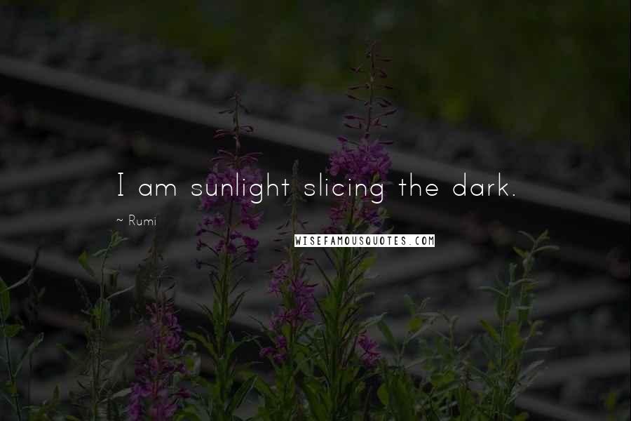 Rumi Quotes: I am sunlight slicing the dark.