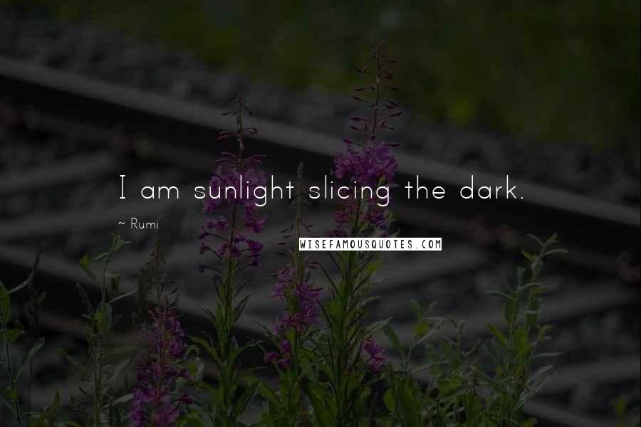 Rumi Quotes: I am sunlight slicing the dark.