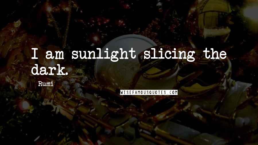 Rumi Quotes: I am sunlight slicing the dark.