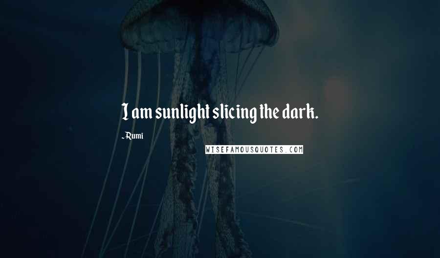 Rumi Quotes: I am sunlight slicing the dark.
