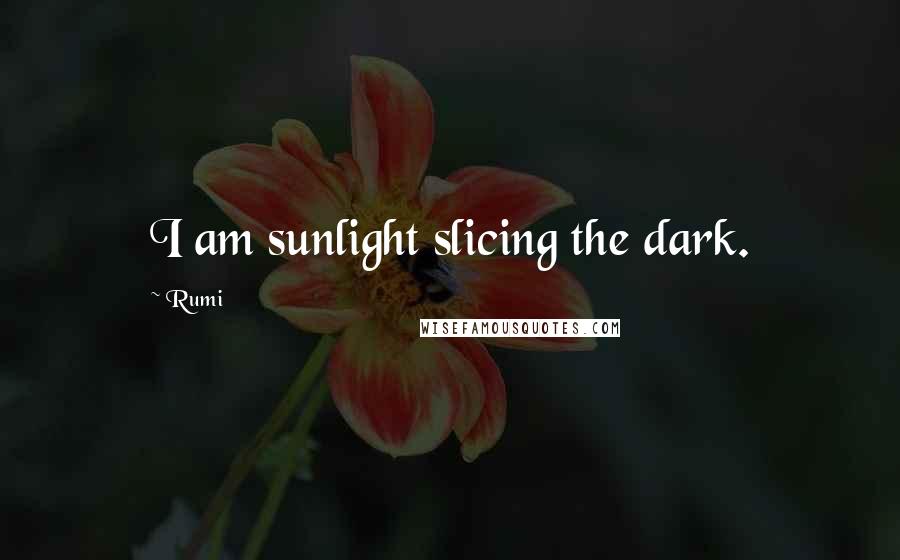 Rumi Quotes: I am sunlight slicing the dark.