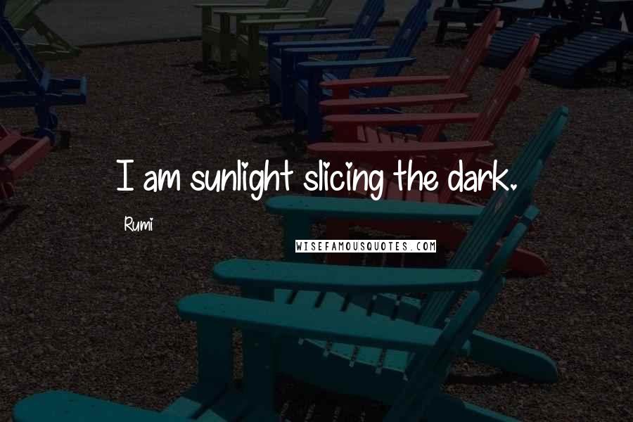 Rumi Quotes: I am sunlight slicing the dark.