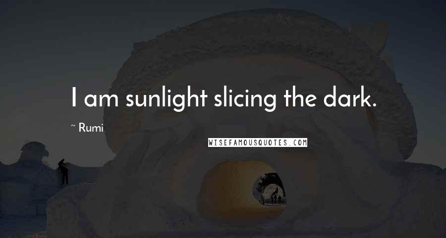 Rumi Quotes: I am sunlight slicing the dark.