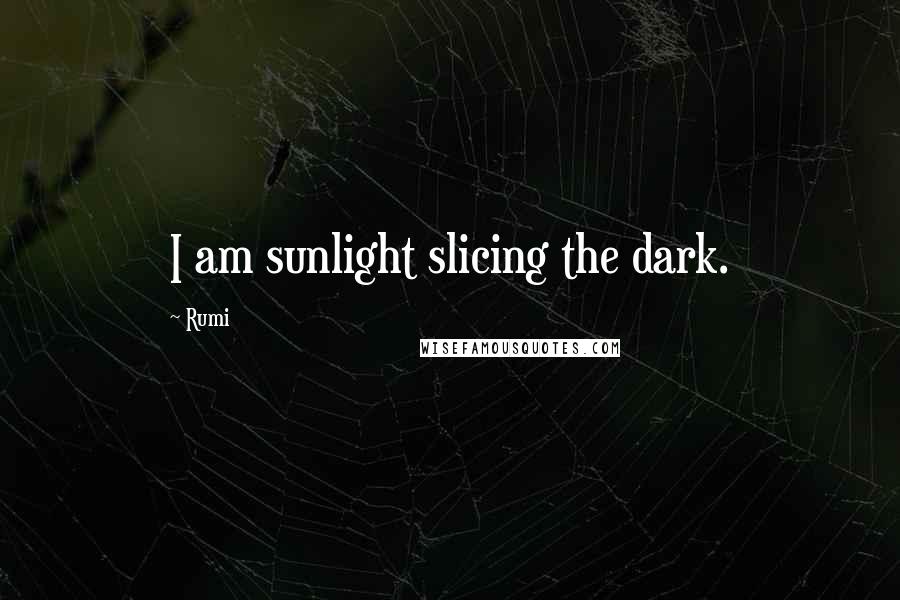 Rumi Quotes: I am sunlight slicing the dark.