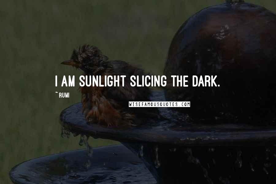 Rumi Quotes: I am sunlight slicing the dark.