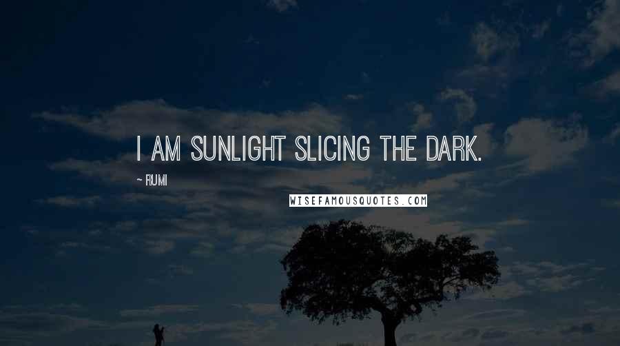 Rumi Quotes: I am sunlight slicing the dark.