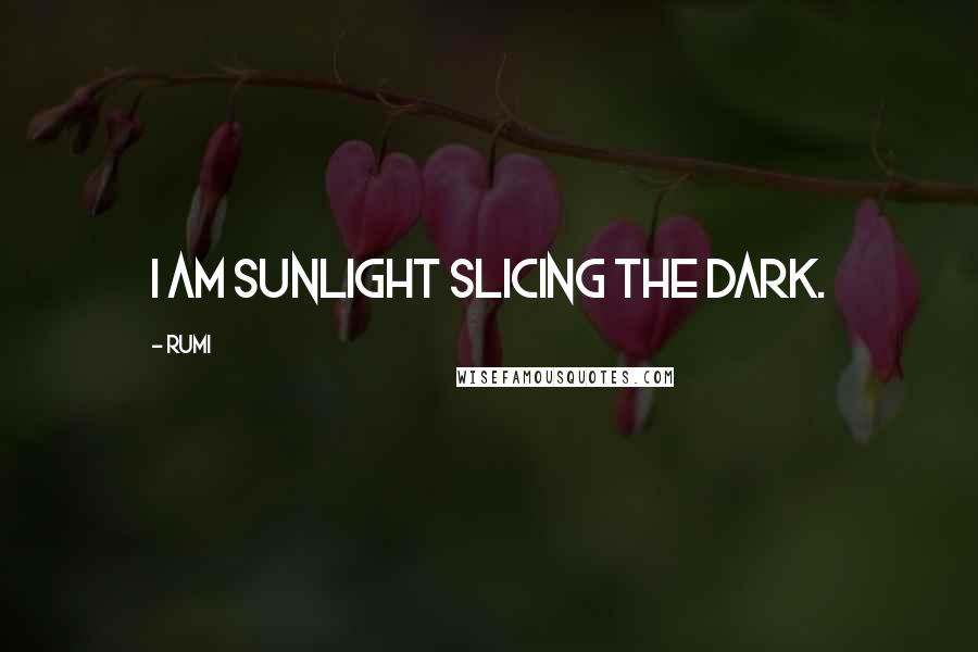 Rumi Quotes: I am sunlight slicing the dark.