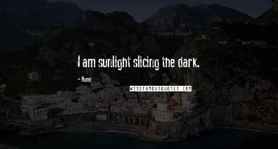 Rumi Quotes: I am sunlight slicing the dark.