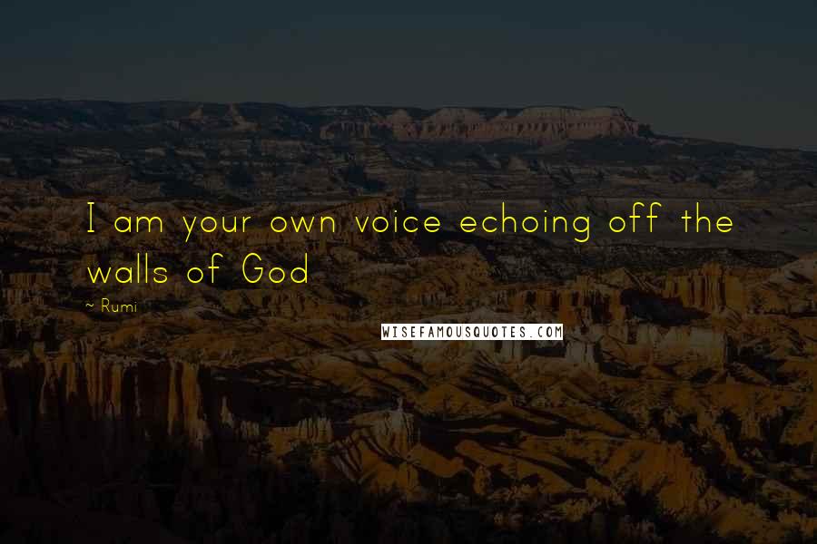 Rumi Quotes: I am your own voice echoing off the walls of God