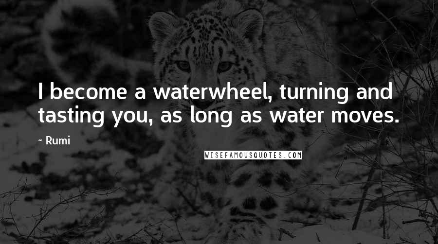 Rumi Quotes: I become a waterwheel, turning and tasting you, as long as water moves.