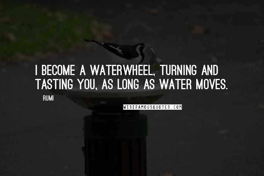 Rumi Quotes: I become a waterwheel, turning and tasting you, as long as water moves.