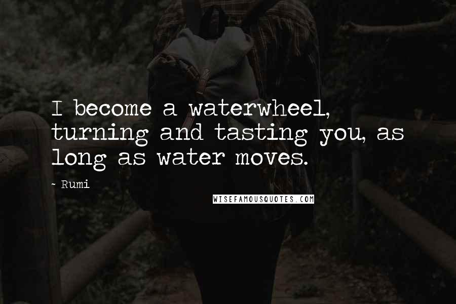 Rumi Quotes: I become a waterwheel, turning and tasting you, as long as water moves.