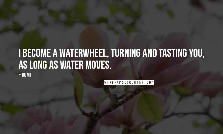 Rumi Quotes: I become a waterwheel, turning and tasting you, as long as water moves.