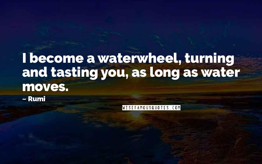 Rumi Quotes: I become a waterwheel, turning and tasting you, as long as water moves.