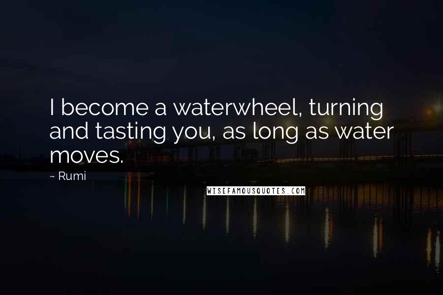 Rumi Quotes: I become a waterwheel, turning and tasting you, as long as water moves.