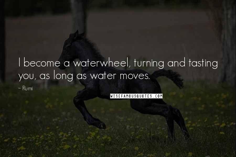 Rumi Quotes: I become a waterwheel, turning and tasting you, as long as water moves.