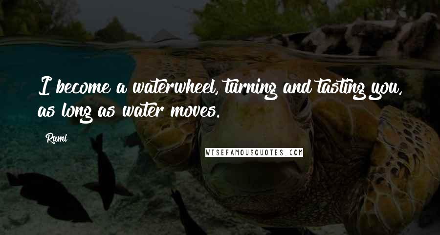 Rumi Quotes: I become a waterwheel, turning and tasting you, as long as water moves.