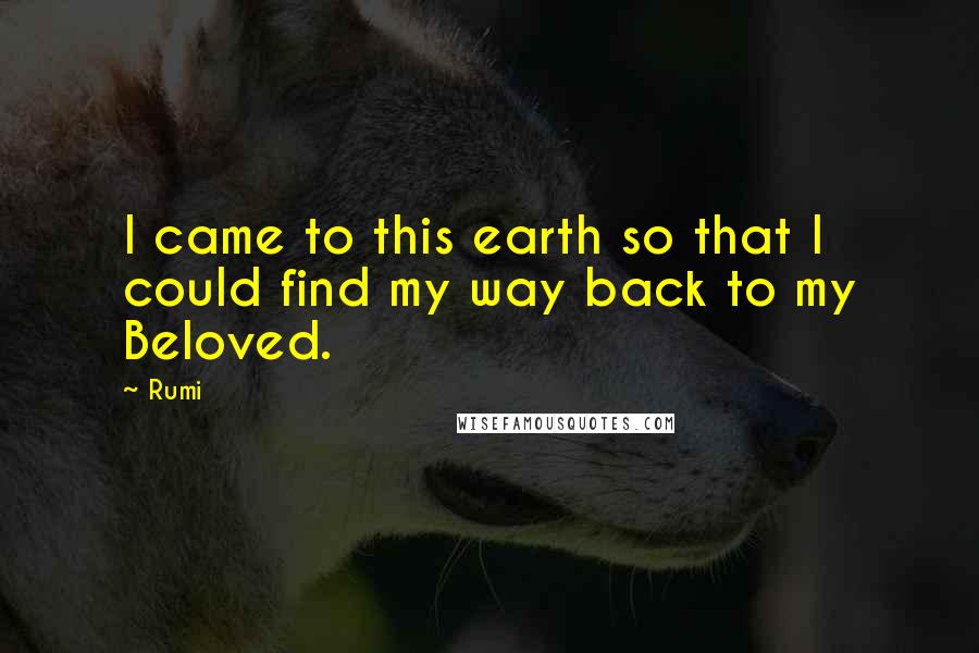 Rumi Quotes: I came to this earth so that I could find my way back to my Beloved.