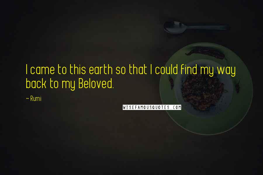 Rumi Quotes: I came to this earth so that I could find my way back to my Beloved.