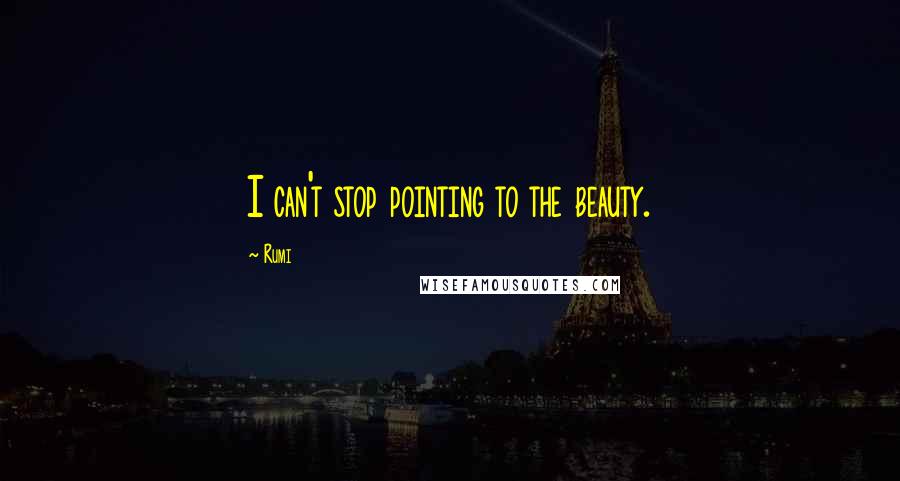 Rumi Quotes: I can't stop pointing to the beauty.