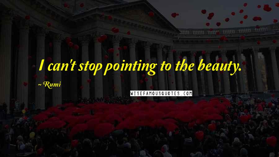 Rumi Quotes: I can't stop pointing to the beauty.