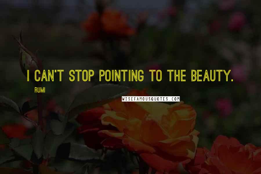 Rumi Quotes: I can't stop pointing to the beauty.