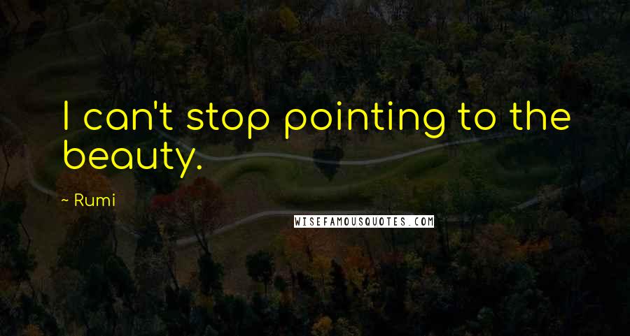 Rumi Quotes: I can't stop pointing to the beauty.