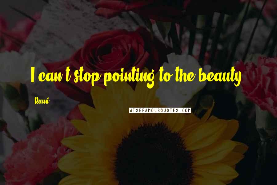 Rumi Quotes: I can't stop pointing to the beauty.