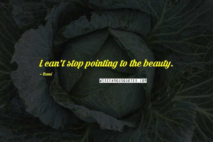 Rumi Quotes: I can't stop pointing to the beauty.